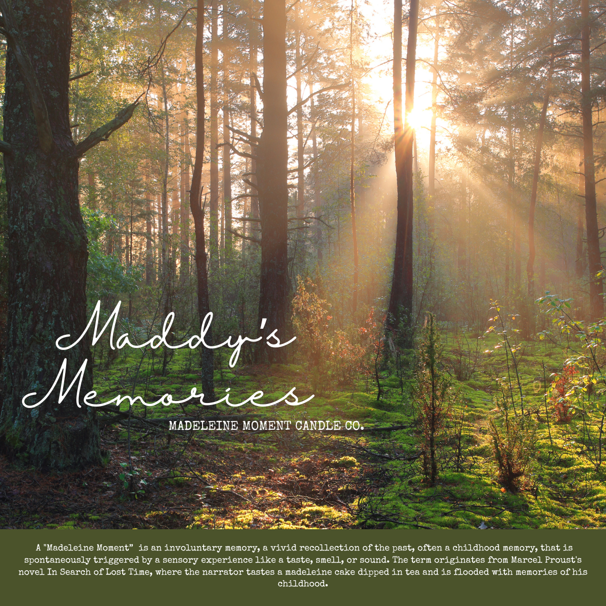 𝚆𝙷𝙸𝚂𝙿𝙴𝚁𝙸𝙽𝙶 𝙵𝙾𝚁𝙴𝚂𝚃 | 8𝚘𝚣 𝙲𝙰𝙽𝙳𝙻𝙴 | 𝙼𝙰𝙳𝙳𝚈'𝚂 𝙼𝙴𝙼𝙾𝚁𝙸𝙴𝚂