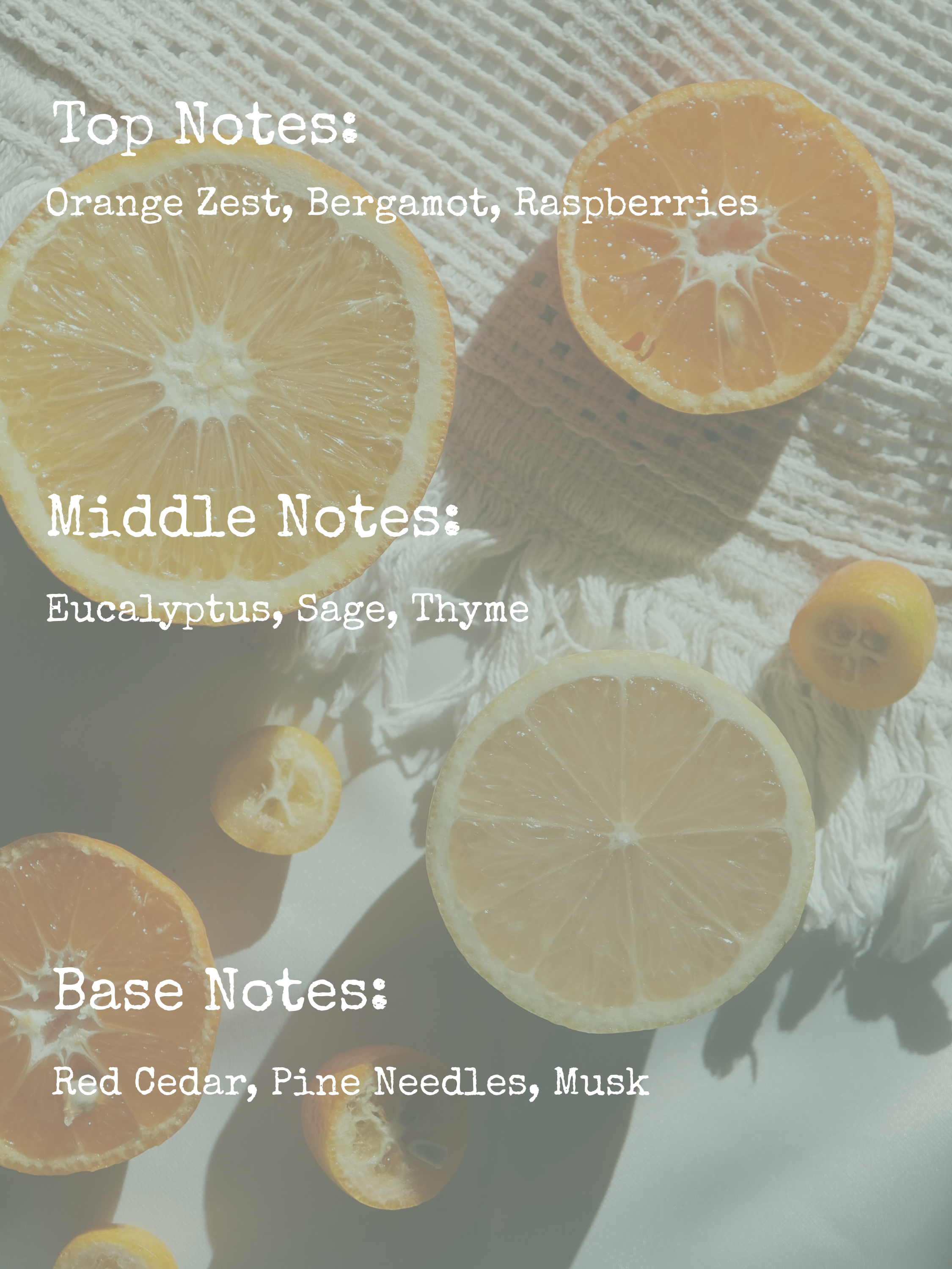 𝙿𝙾𝚁𝙲𝙷 𝚂𝚆𝙸𝙽𝙶 | 8𝚘𝚣 𝙲𝙰𝙽𝙳𝙻𝙴 | 𝙼𝙰𝙳𝙳𝚈'𝚂 𝙼𝙴𝙼𝙾𝚁𝙸𝙴𝚂