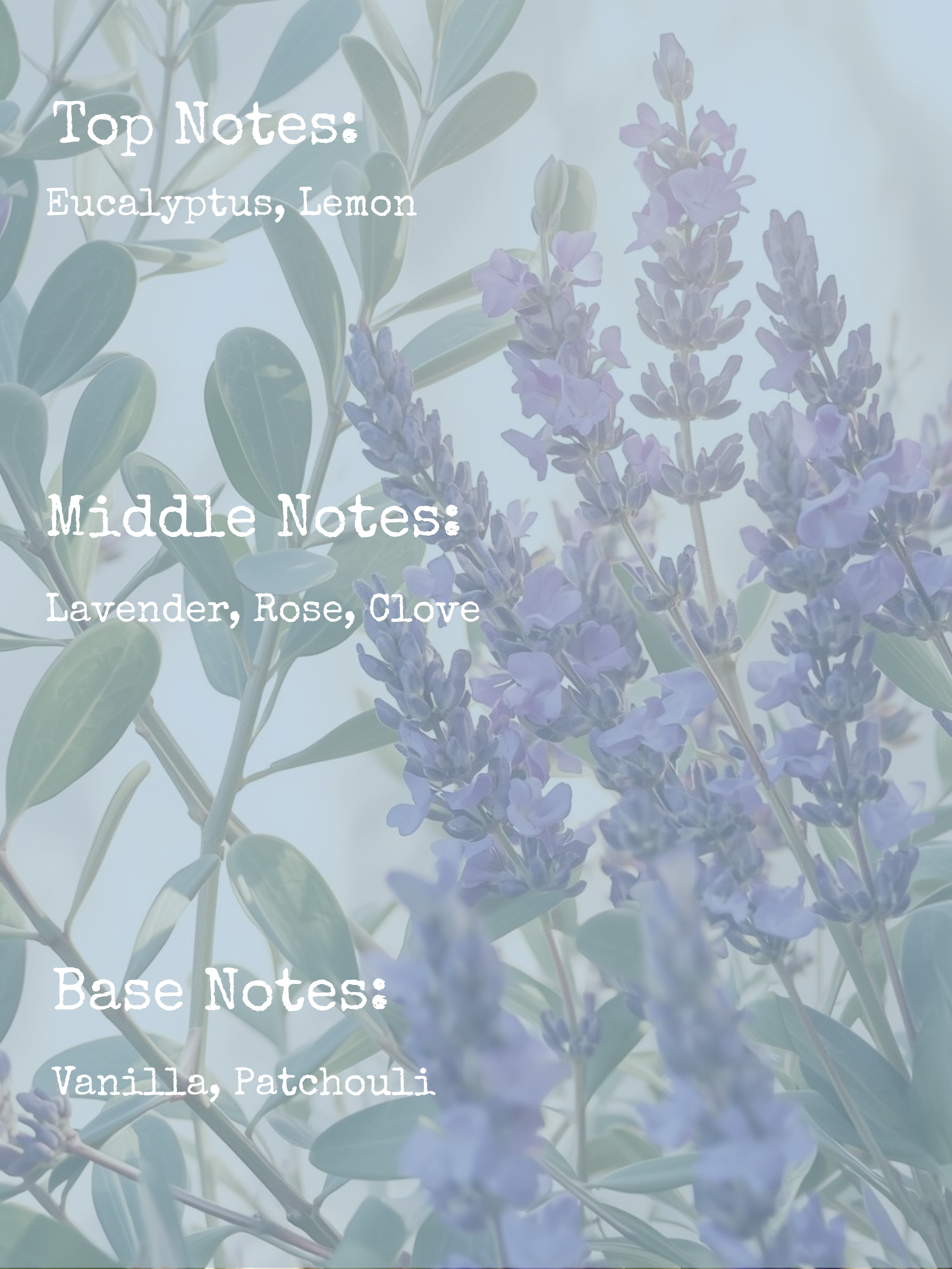 𝚂𝙰𝙸𝙻𝙸𝙽𝙶 𝙰𝚆𝙰𝚈 | 8𝚘𝚣 𝙲𝙰𝙽𝙳𝙻𝙴 | 𝙼𝙰𝙳𝙳𝚈'𝚂 𝙼𝙴𝙼𝙾𝚁𝙸𝙴𝚂