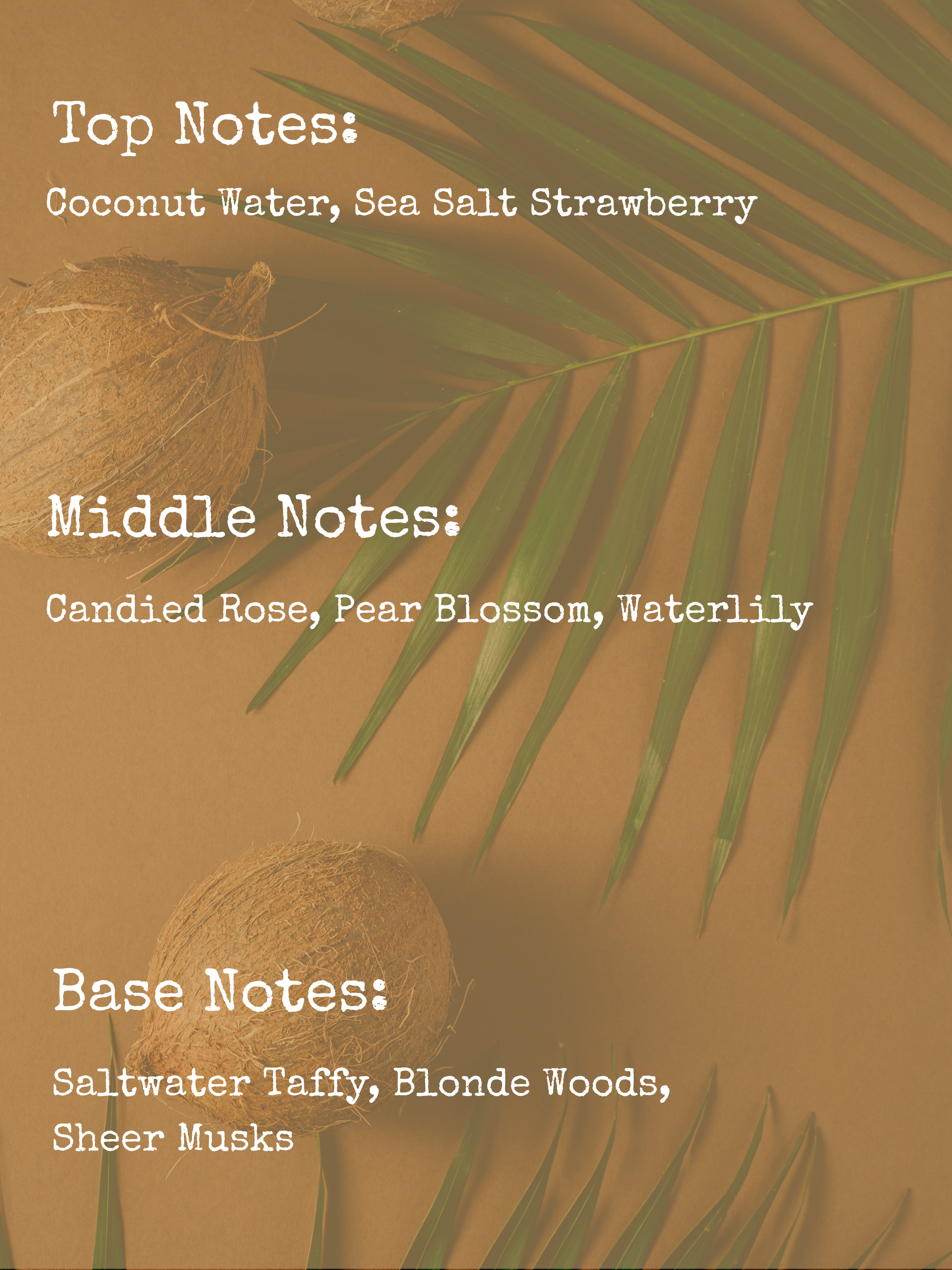 𝙶𝙾𝙻𝙳𝙴𝙽 𝚂𝚄𝙽𝚁𝙸𝚂𝙴 | 8𝚘𝚣 𝙲𝙰𝙽𝙳𝙻𝙴 | 𝙼𝙰𝙳𝙳𝚈'𝚂 𝙼𝙴𝙼𝙾𝚁𝙸𝙴𝚂