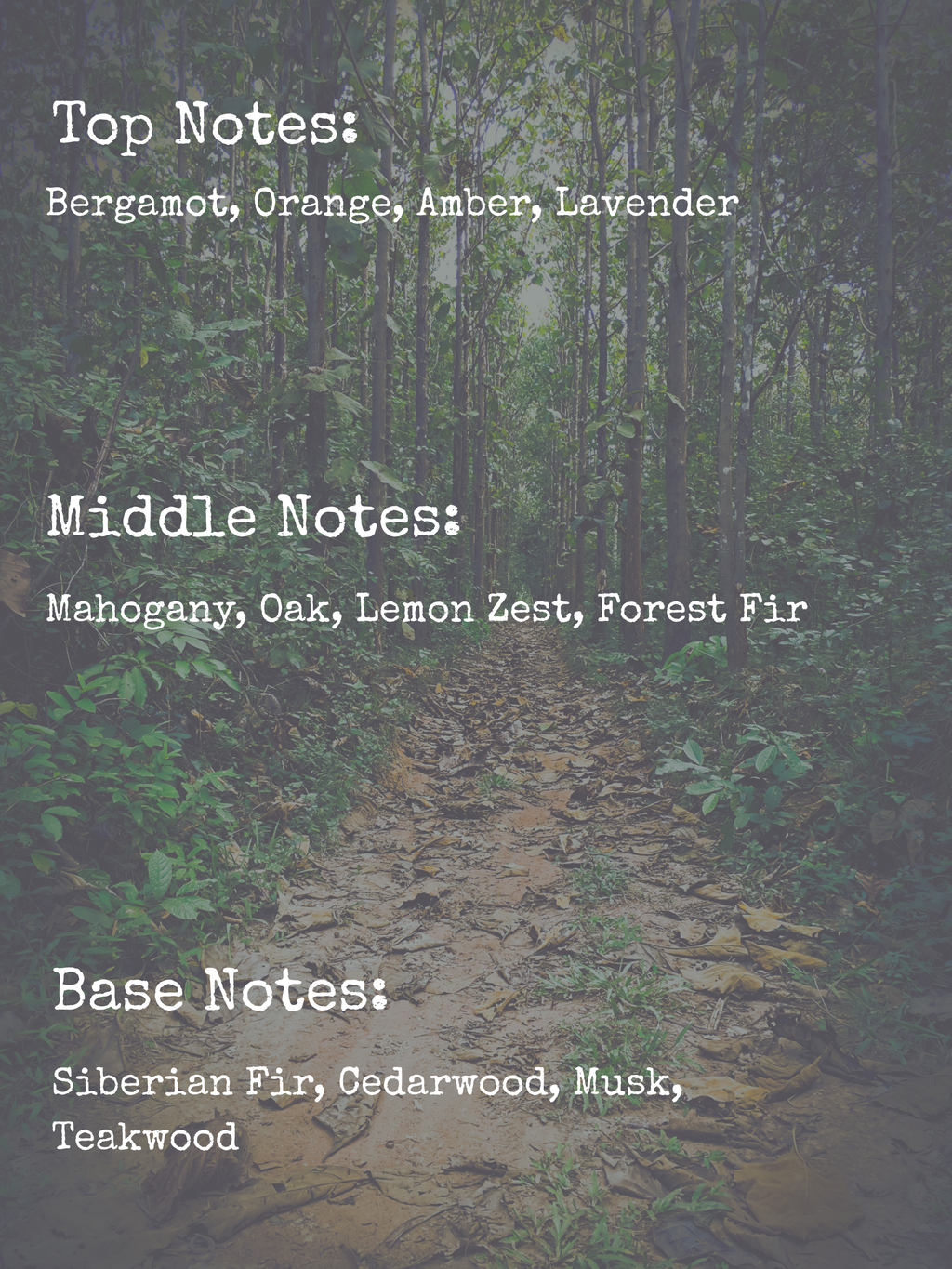 𝚆𝙷𝙸𝚂𝙿𝙴𝚁𝙸𝙽𝙶 𝙵𝙾𝚁𝙴𝚂𝚃 | 8𝚘𝚣 𝙲𝙰𝙽𝙳𝙻𝙴 | 𝙼𝙰𝙳𝙳𝚈'𝚂 𝙼𝙴𝙼𝙾𝚁𝙸𝙴𝚂