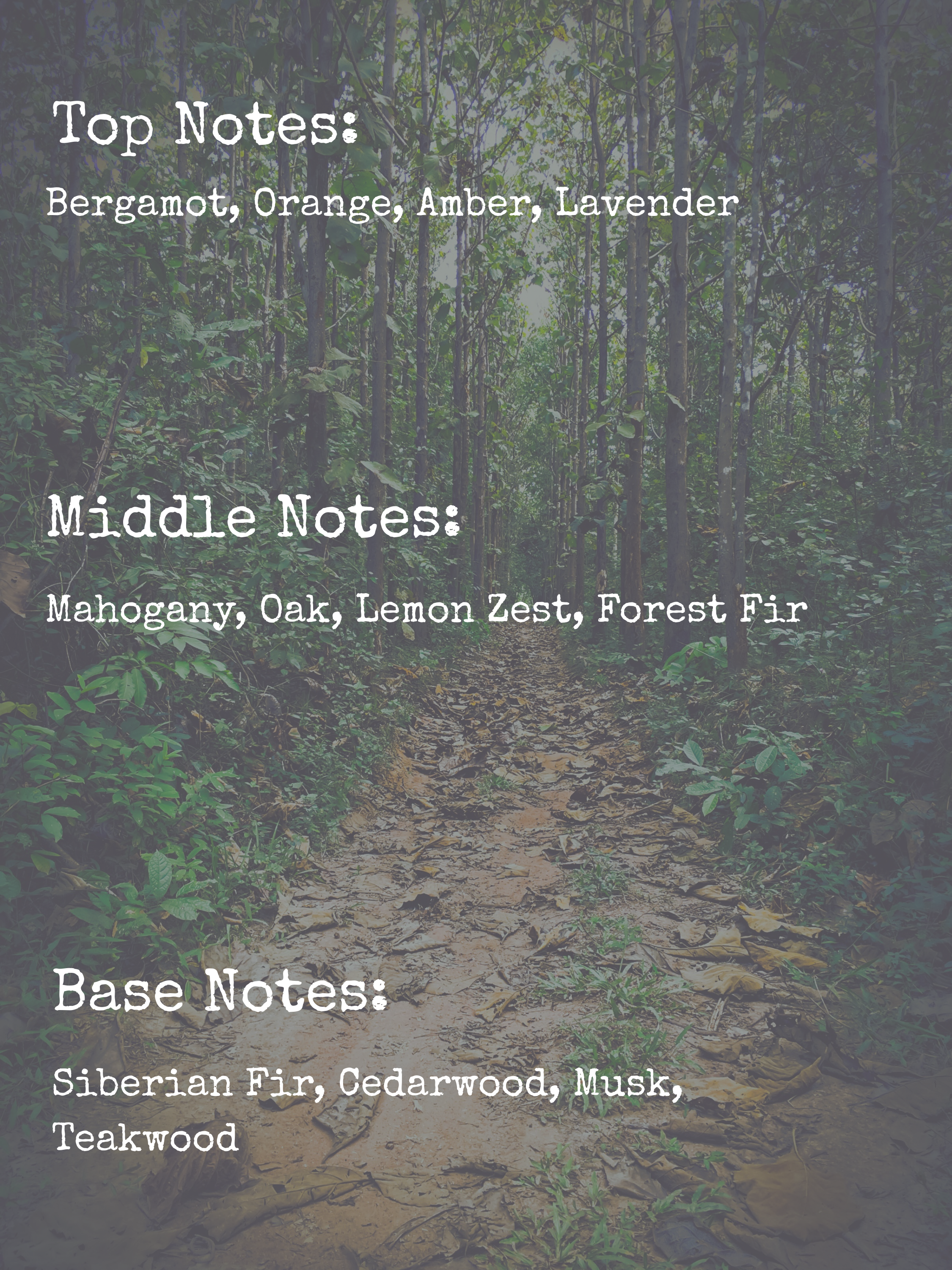 𝚆𝙷𝙸𝚂𝙿𝙴𝚁𝙸𝙽𝙶 𝙵𝙾𝚁𝙴𝚂𝚃 | 8𝚘𝚣 𝙲𝙰𝙽𝙳𝙻𝙴 | 𝙼𝙰𝙳𝙳𝚈'𝚂 𝙼𝙴𝙼𝙾𝚁𝙸𝙴𝚂