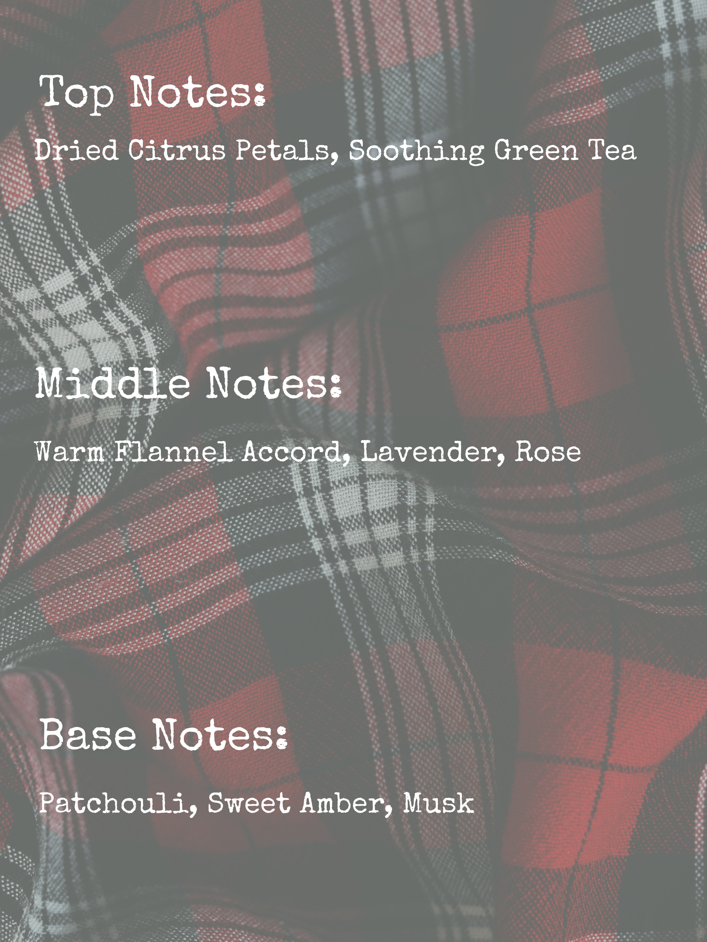 𝙳𝚄𝚅𝙴𝚃 𝙳𝙰𝚈𝚂 | 8𝚘𝚣 𝙲𝙰𝙽𝙳𝙻𝙴 | 𝙼𝙰𝙳𝙳𝚈'𝚂 𝙼𝙴𝙼𝙾𝚁𝙸𝙴𝚂