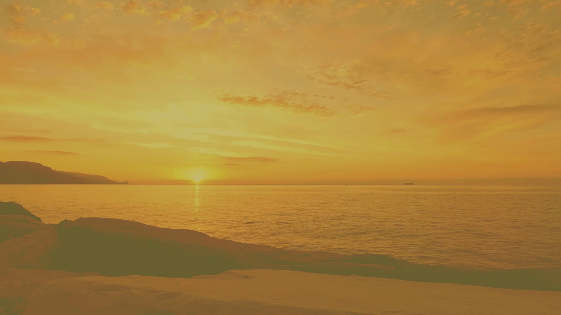 𝒢𝑜𝓁𝒹𝑒𝓃 𝒮𝓊𝓃𝓇𝒾𝓈𝑒 : 𝚂𝚖𝚎𝚕𝚕𝚜 𝚕𝚒𝚔𝚎 𝚊 𝚐𝚘𝚕𝚍𝚎𝚗 𝚜𝚞𝚗𝚛𝚒𝚜𝚎 𝚜𝚙𝚒𝚕𝚕𝚒𝚗𝚐 𝚝𝚑𝚛𝚘𝚞𝚐𝚑 𝚕𝚊𝚌𝚎 𝚌𝚞𝚛𝚝𝚊𝚒𝚗𝚜, 𝚛𝚒𝚙𝚎 𝚜𝚝𝚛𝚊𝚠𝚋𝚎𝚛𝚛𝚒𝚎𝚜 𝚊𝚗𝚍 𝚝𝚘𝚊𝚜𝚝𝚎𝚍 𝚌𝚘𝚌𝚘𝚗𝚞𝚝 𝚋𝚊𝚔𝚒𝚗𝚐 𝚜𝚘𝚏𝚝𝚕𝚢 𝚒𝚗 𝚊 𝚠𝚊𝚛𝚖, 𝚚𝚞𝚒𝚎𝚝 𝚔𝚒𝚝𝚌𝚑𝚎𝚗